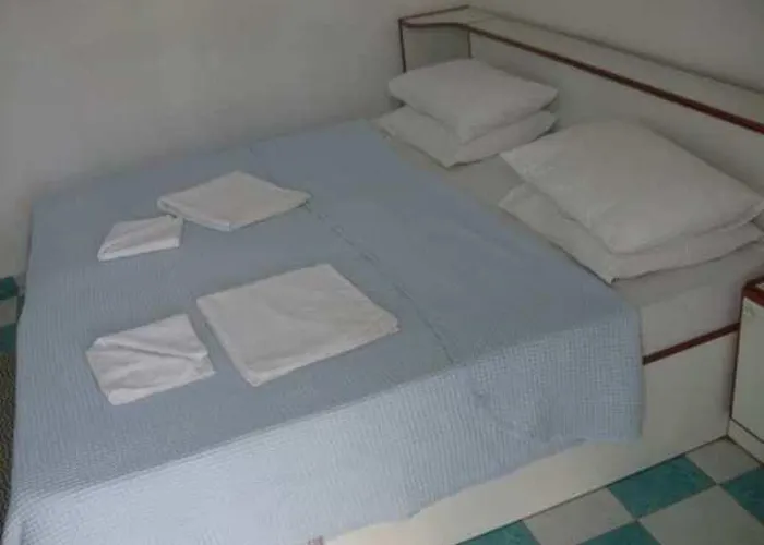 Camelia * フェティエ